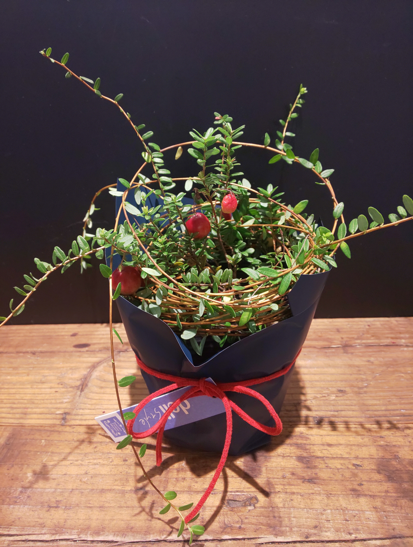 青山フラワーマーケット デリスタイル 敬老の日の贈り物に花鉢はいかがですか 渋谷スクランブルスクエア 東急百貨店プロデュースショップ