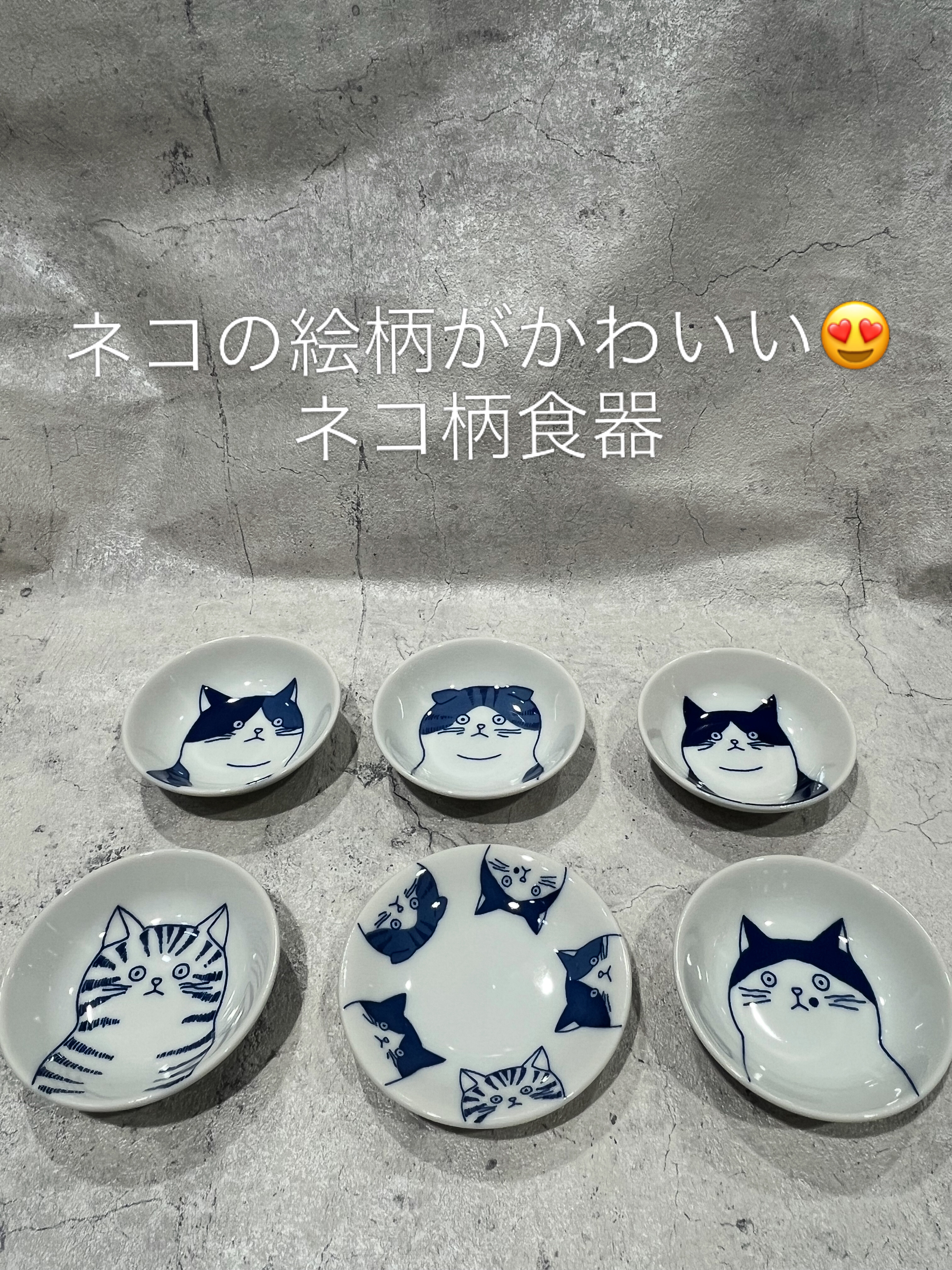 Tataratiya × EAST table|猫好きにはたまらない！猫柄食器| 渋谷