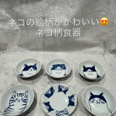 https://blog.tds-scsq.jp/uploads/images/resized/235x235/tdsscsq/000143/000143/6e4e3cb7.jpeg